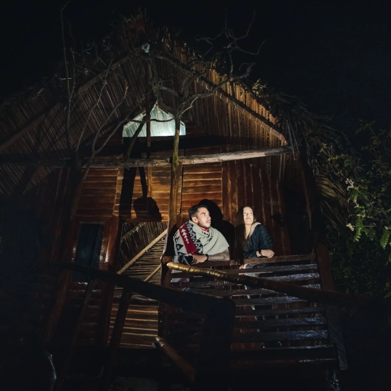 Cabaña para parejas entre árboles
