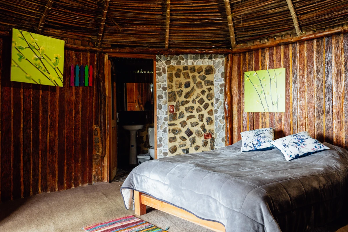 Geolodge de madera rodeado de bosque