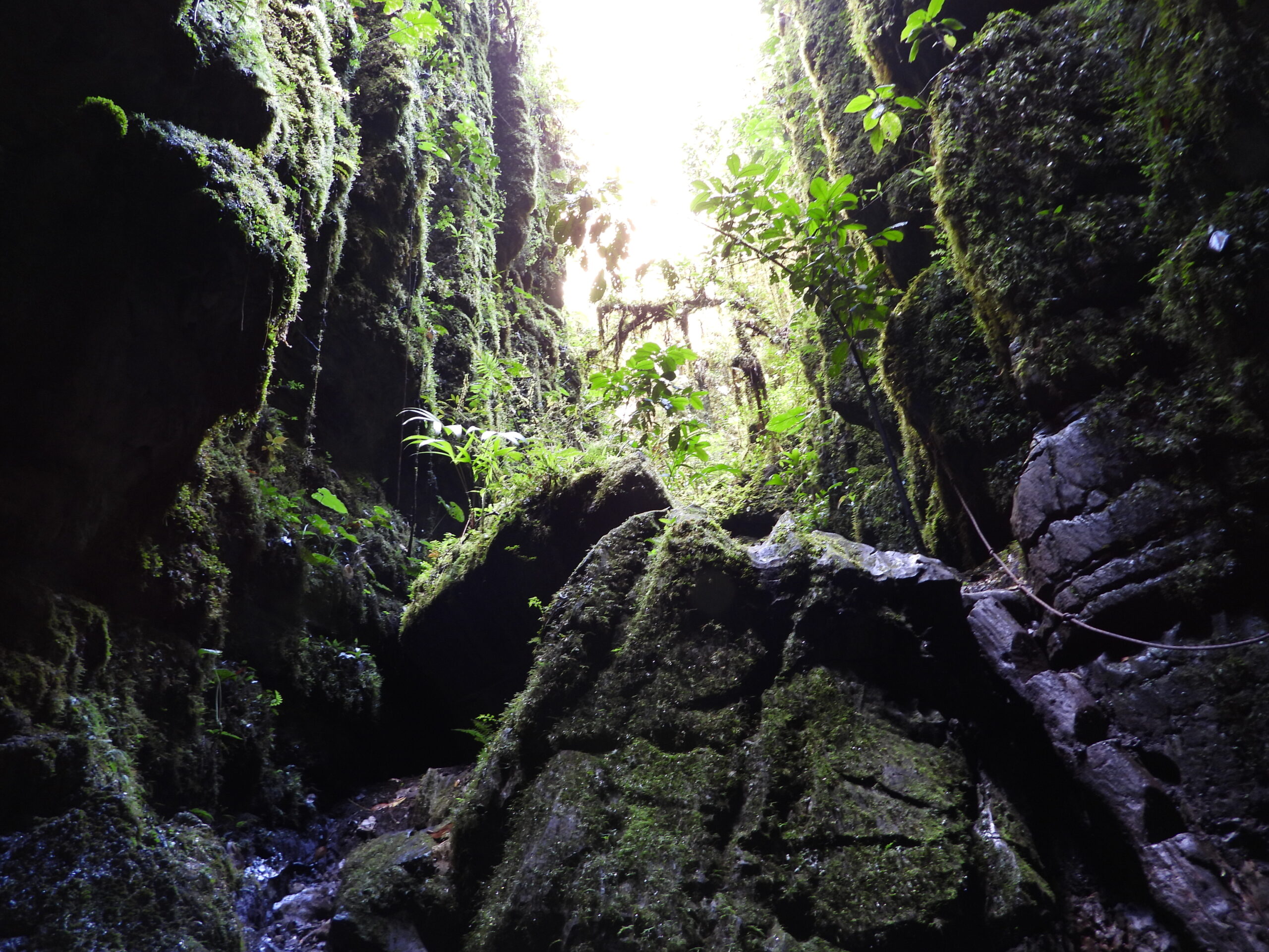 Paisaje de montañas y bosque del geoparque Bosques de Pandora